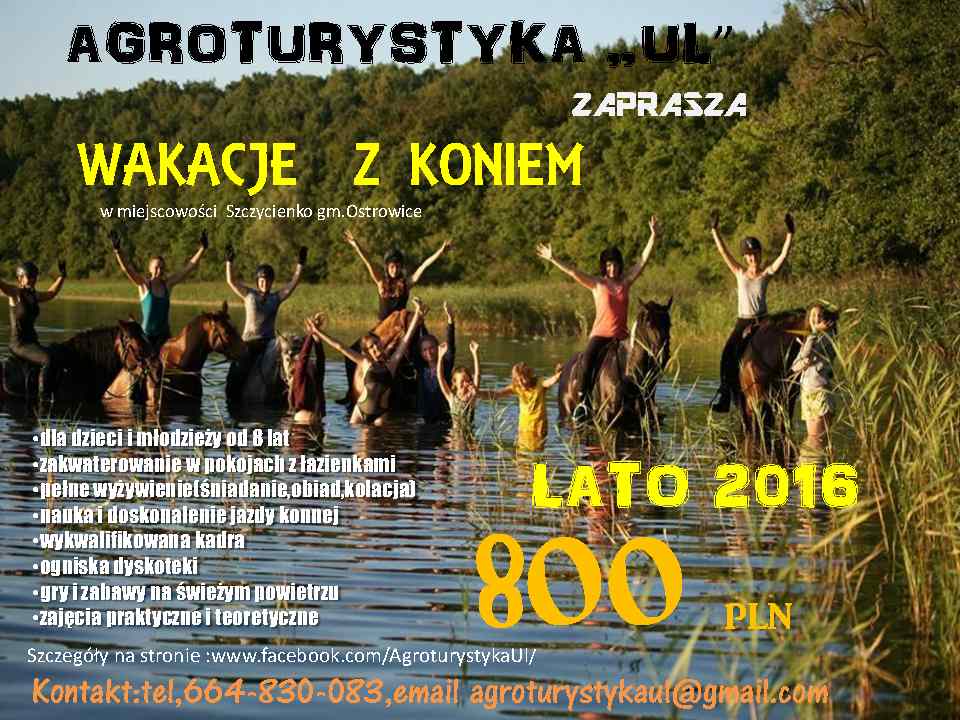 Wakacje w siodle LATO 2016